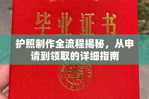 台中护照制作全流程揭秘，从申请到领取的详细指南