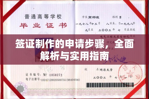 台中签证制作的申请步骤，全面解析与实用指南