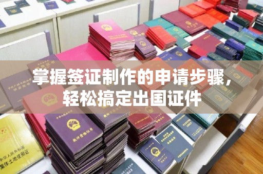 台中掌握签证制作的申请步骤，轻松搞定出国证件