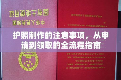 台中护照制作的注意事项，从申请到领取的全流程指南